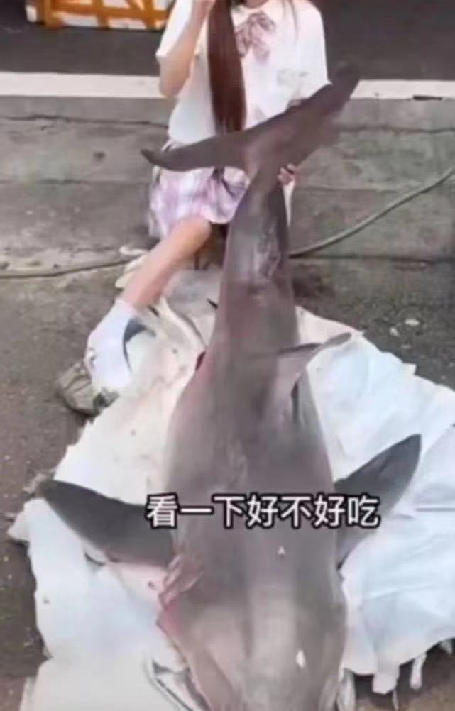 百萬粉絲網(wǎng)紅烹食鯊魚被調(diào)查！警方回應(yīng)：是瀕危野生動物噬人鯊