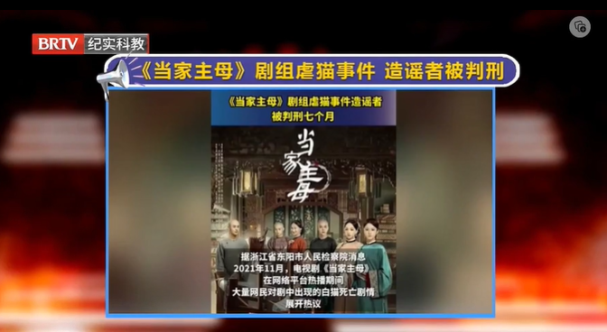 《當(dāng)家主母》劇組虐貓事件”造謠者被判刑7個月
